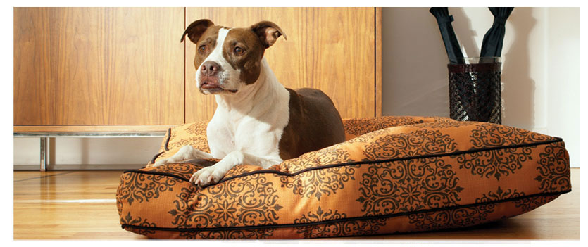 shop dog beds in all shapes, sizes and fabrics