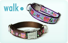 Walk
