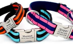 Personalized Dog Collars