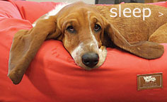 Sleep
