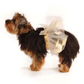 The Grace: tutu for canine and child
