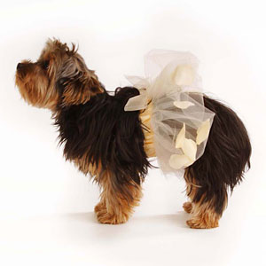 The Grace: tutu for canine and child