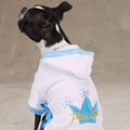 terry bathrobe for dog