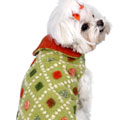 dog coat