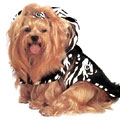 zebra wool dog coat