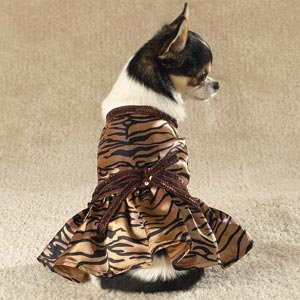 Tigress dress for fancy dogs