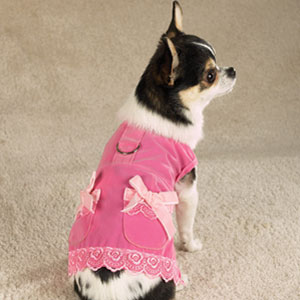 pink dog dress