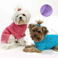small dog sweater