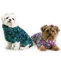 small dog sweater