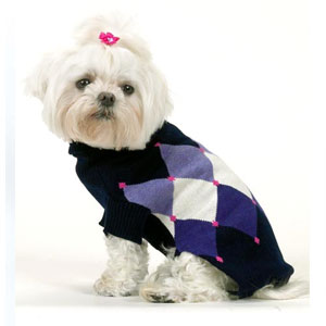 argyle dog sweater 