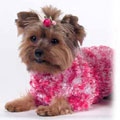designer dog sweater