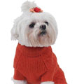 wool dog sweater