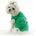 dog tee shirt with anchor and rope design