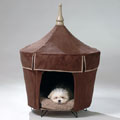 pet tent - Viva le Chocolate
