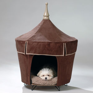pet tent - Viva le Chocolate