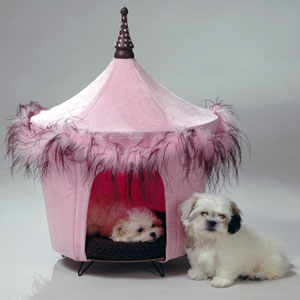 pet tent - posh and pink