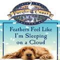 feather bed for pet