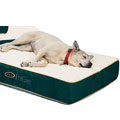 orthopedic dog mattress with dual density foam