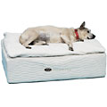 dog mattress with pillow top and coil springs