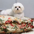 round ruffled shabby chic dog bed