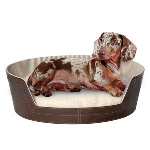 tailored dog bed
