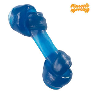 Nylabone GumALot Chew Toy