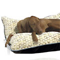 designer rectangle dog beds