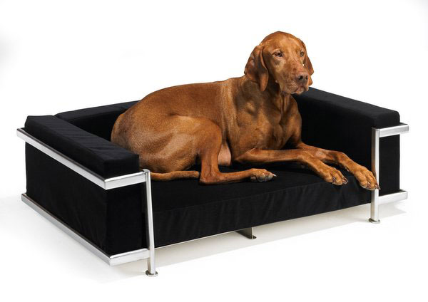Moderno Dog Sofa - Ebony