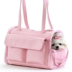 dog carrier for airline travel