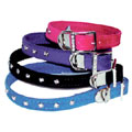 rhinestone and velvet dog collar