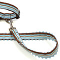 designer dog collar and leash: The Jack