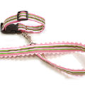 designer dog collar and leash: The Jill