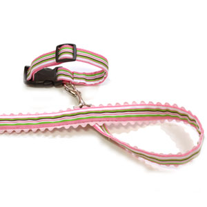 designer dog collar and leash: The Jill