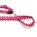 PomPom collar and leash: The Lola