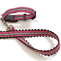 designer dog collar and leash: The Rizzo