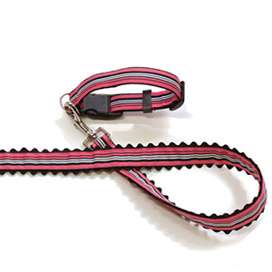 designer dog collar and leash: The Rizzo