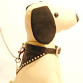 bandana leather dog collar