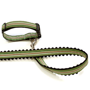 designer dog collar and leash: The Scout