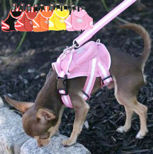 small dog harness backpack