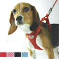 dog flexi harness