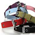 matching dog collar and leash