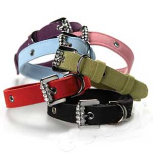 matching dog collar and leash