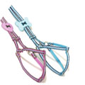 striped ribbon step in harness with interchangeable heart and bone designs