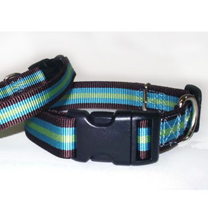 striped collar harness & leash