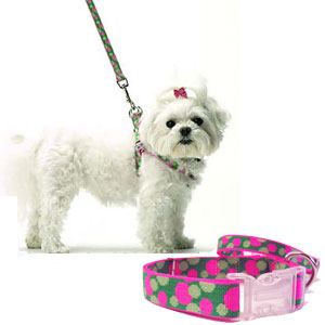 pink green polka collar harness & leash