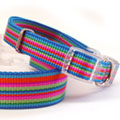  multi stripe collar harness & leash