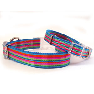 multi stripe collar harness & leash