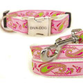 small dog collar harness & leash - pink with raspberry and lime paisley