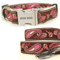 small dog collar harness & leash - brown and pink paisley