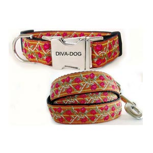bombay dog collar & leash